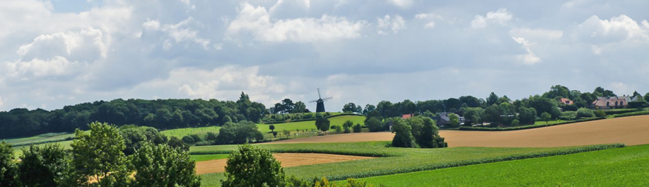 Header afbeelding